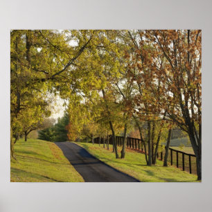 Poster Estrada rural pela região de Bluegrass, Kentucky 