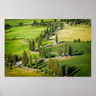 Póster Estrada sinuosa forrada de ciprestes na Toscana