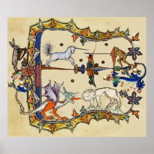 POSTER ESTRANHO MÉDIO BESTIÁRIO, MACACACO DE LUTA UNICO