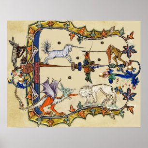 POSTER ESTRANHO MÉDIO BESTIÁRIO, MACACACO DE LUTA UNICO