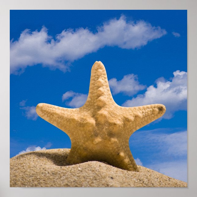 Póster estrela (Frente)