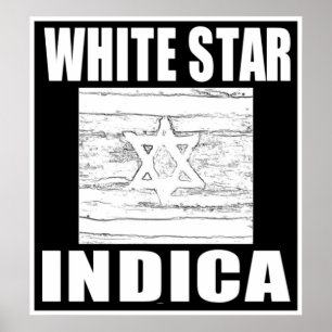 PÓSTER ESTRELA BRANCA INDICA