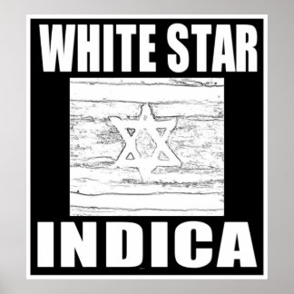 PÓSTER ESTRELA BRANCA INDICA