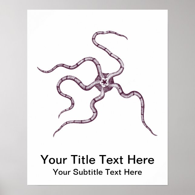 Póster Estrela Brittle - Estrela Serpente - Biologia Mari (Frente)