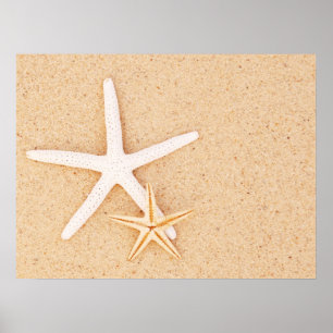 Poster Estrela do mar dois simples