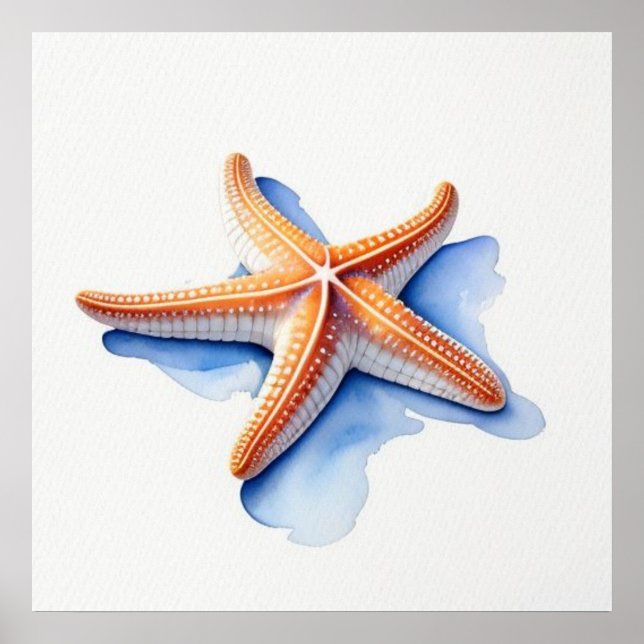 Poster Estrela do Mar e Silhueta Azul (Frente)