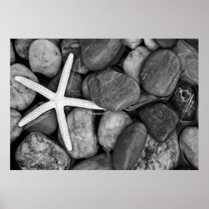 Póster Estrela do mar em rochas