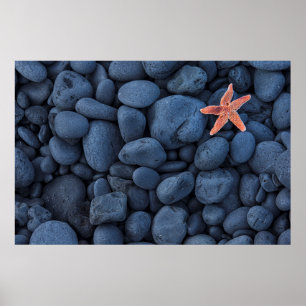 Póster Estrela do mar em rochas pretas ao longo da costa