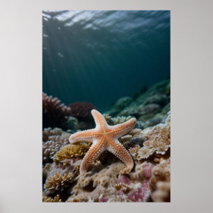 Poster Estrela-do-mar no Mar Profundo
