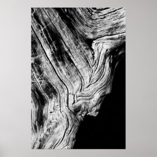 Póster estrelas dizem isso