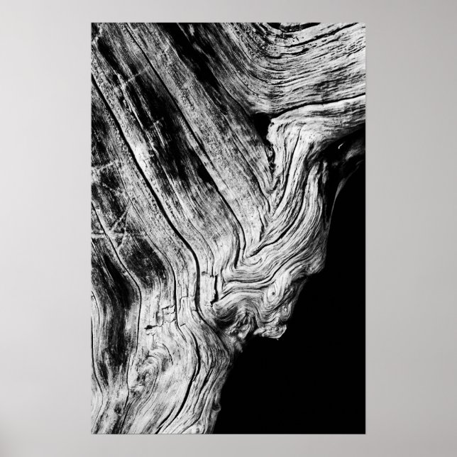 Póster estrelas dizem isso (Frente)