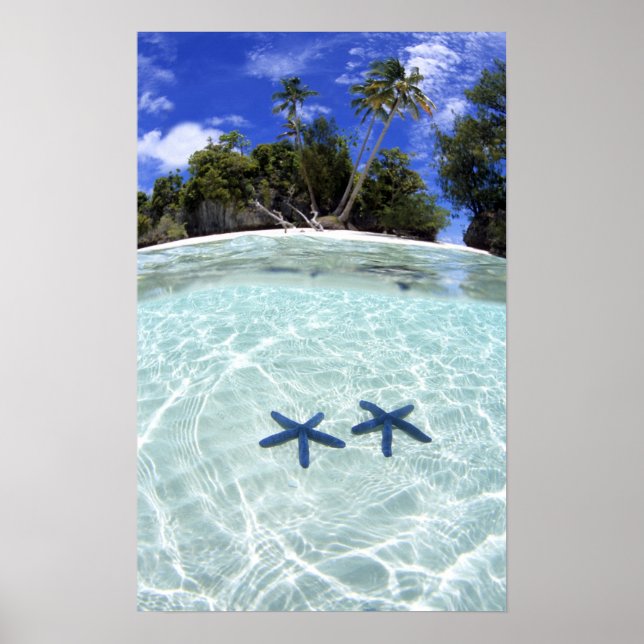 Póster Estrelas do mar, Ilhas Rock, Palau 2 (Frente)