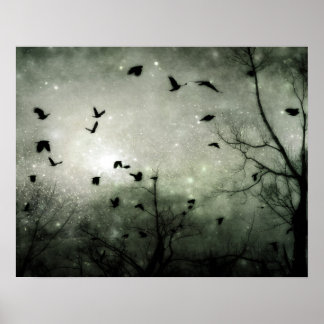Poster Estrelas e Collide de Corvos