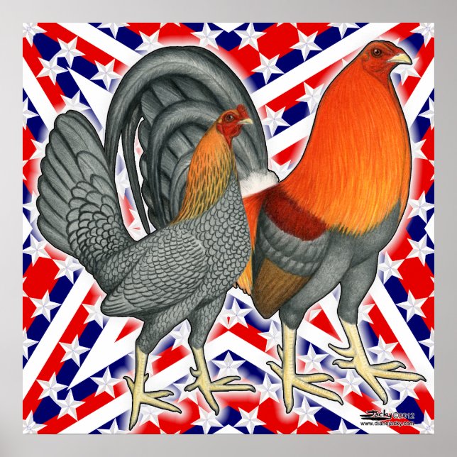 Poster Estrelas e Stripes Gamefowl (Frente)