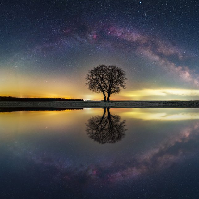 Poster Estrelas em reflexo com água (Criador carregado)