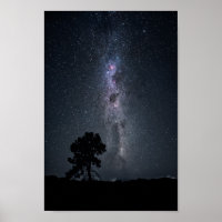 estrelas leitosas e uma árvore