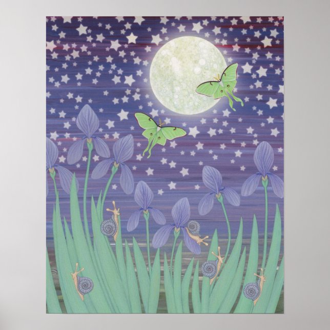 Poster estrelas lua, mariposas de luna, caracóis e irises (Frente)