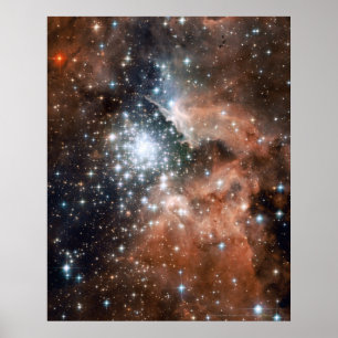 Póster Estrelas novas em NGC 3603 16x20 (16x20)