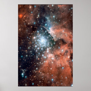 Póster Estrelas novas em NGC 3603 20x30 (20x30)