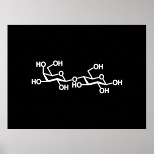 Poster Estrutura do leite da lactose