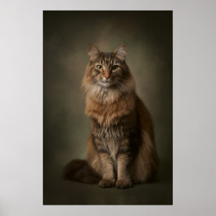 Poster Estúdio de Gato Elegante em retrato