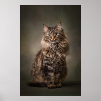 Poster Estúdio de Gato Elegante em retrato