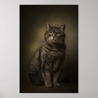 Poster Estúdio de Gato Elegante em retrato