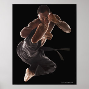 Póster Estúdio disparado do médico das artes marciais