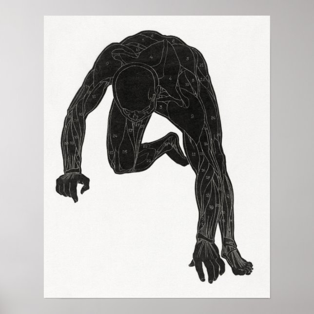 Poster Estudo anatômico do pescoço de um homem (Frente)