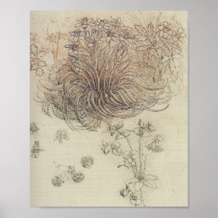 Poster Estudo botânico de Leonardo