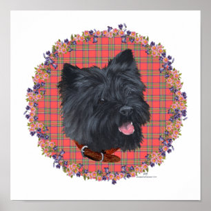 Poster Estudo da Cabeça do Cairn Negro