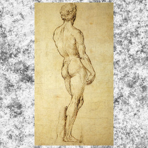 Póster Estudo da estátua David de Michelangelo por Raphae