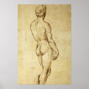 Póster Estudo da estátua David de Michelangelo por Raphae