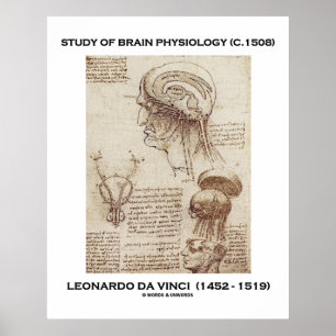 Póster Estudo Da Fisiologia Cerebral Leonardo Da Vinci