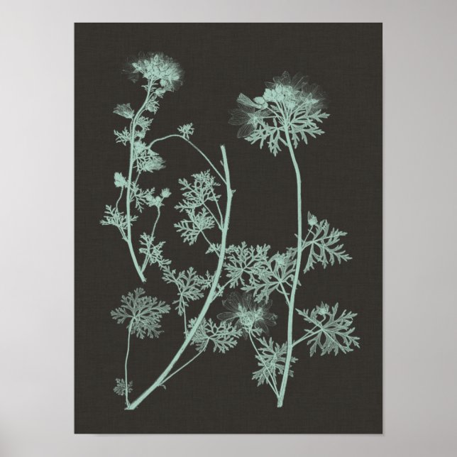 Poster Estudo da Natureza Menta e Carvão IV (Frente)
