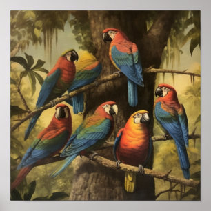 Poster Estudo da Vida Selvagem da Arara Vermelha Botânica