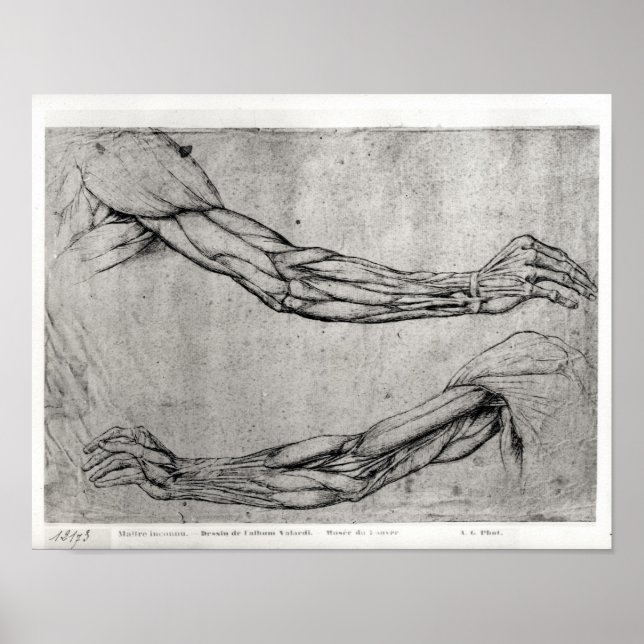 Póster Estudo de Armas (Frente)