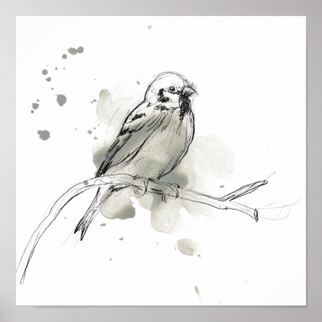 Poster Estudo de aves gesturais (Frente)