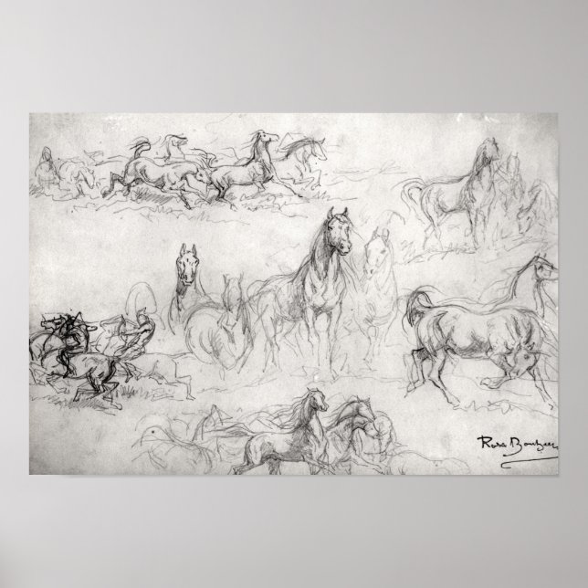 Poster Estudo de Cavalos (Frente)