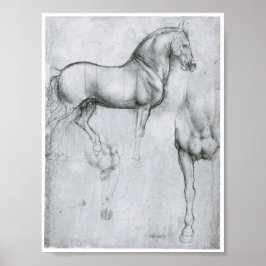 Póster Estudo de Cavalos, Leonardo Da Vinci