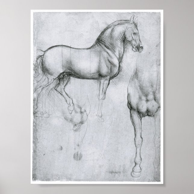 Póster Estudo de Cavalos, Leonardo Da Vinci (Frente)