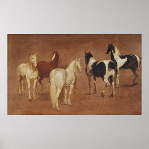 Póster Estudo de cinco cavalos