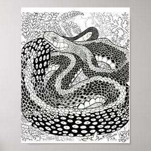 Poster Estudo de Cobra de jardineiro além da página de 