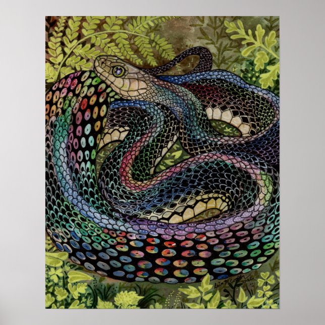 Poster Estudo de Cobra de jardineiro além da pele (Frente)