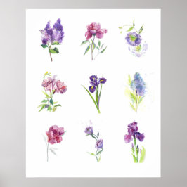 Poster Estudo de Flores de Primavera em Aquarela na Pared