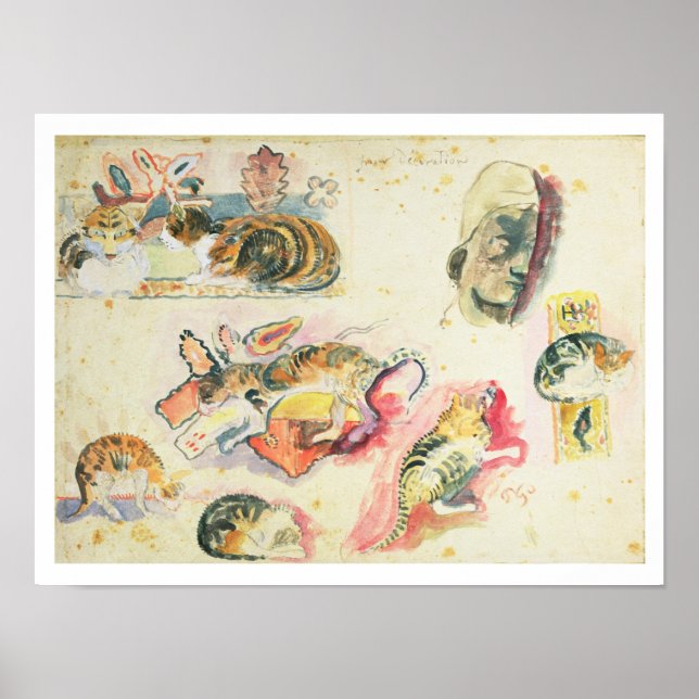 Póster Estudo de Gatos e Cabeça (c/c no papel) (Frente)