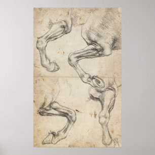 Póster Estudo de Leonardo para os pés do cavalo
