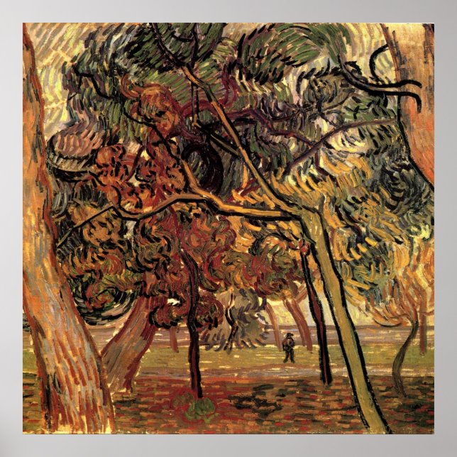 Póster Estudo de Pinheiros por Vincent van Gogh (Frente)