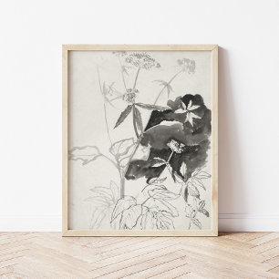 Poster Estudo de Planta Carel Adolph Cachet