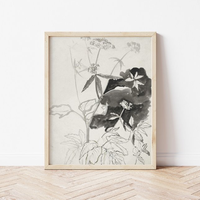 Poster Estudo de Planta | Carel Adolph Cachet (Criador carregado)